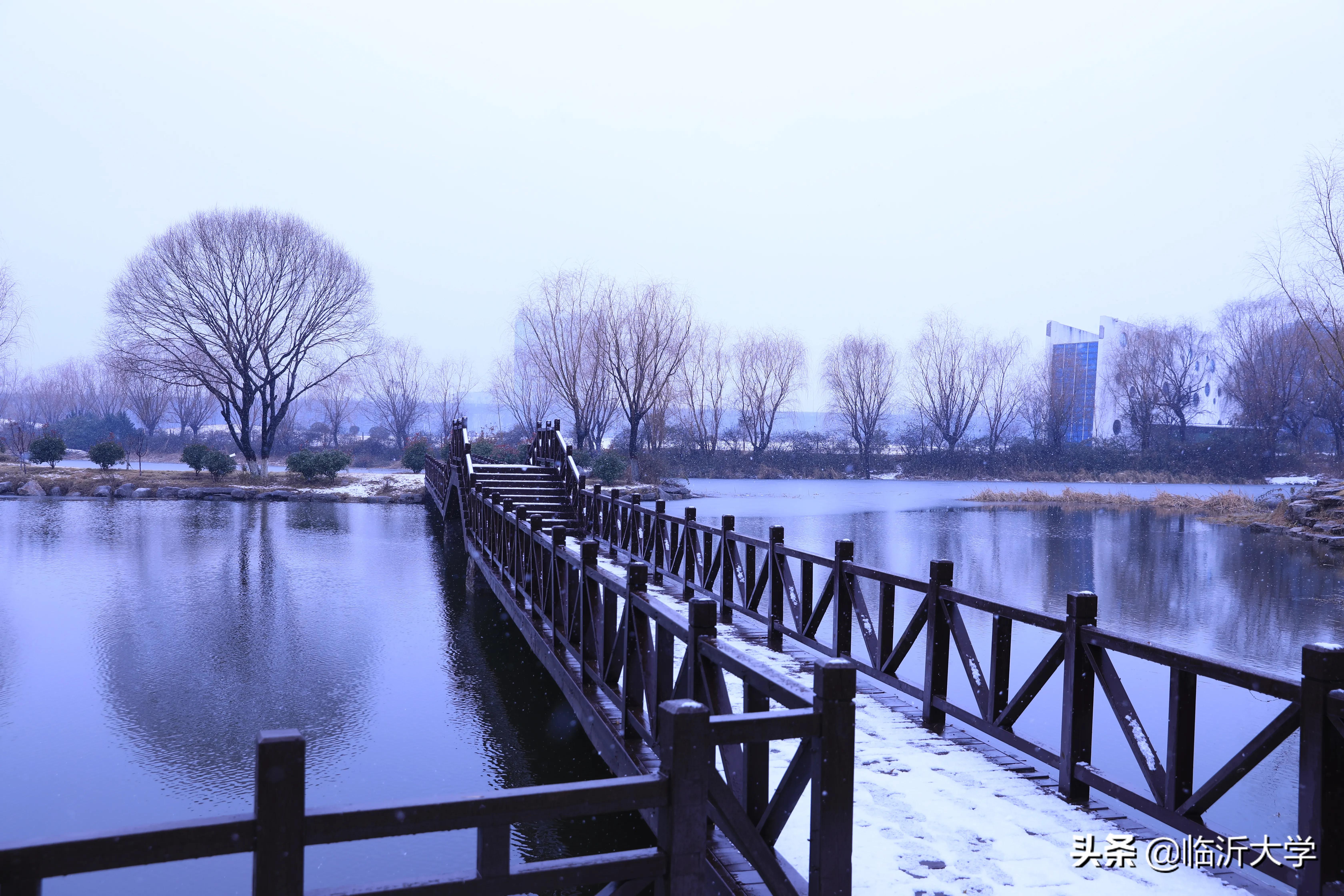 我慢慢地听，雪落下的声音