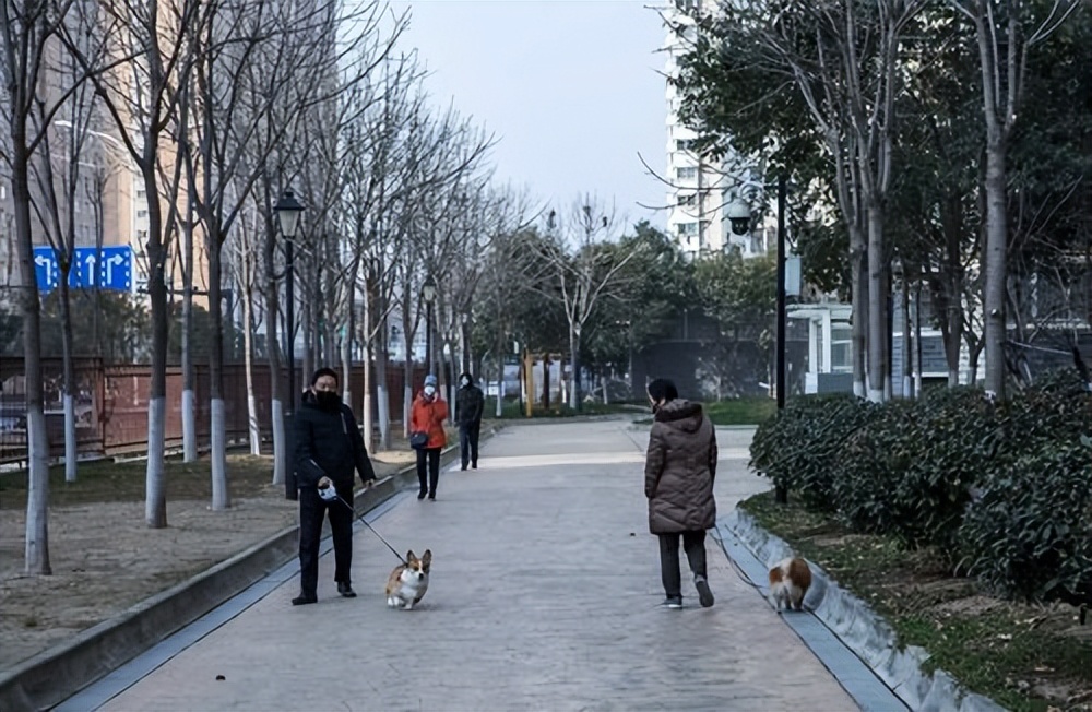 天天喝牛奶还会骨质疏松？医生提醒：忽视这2点，喝再多都没用