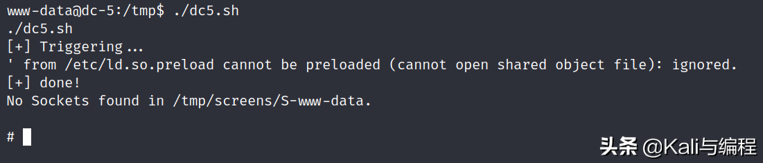 Kali与编程：DC-05靶机实战