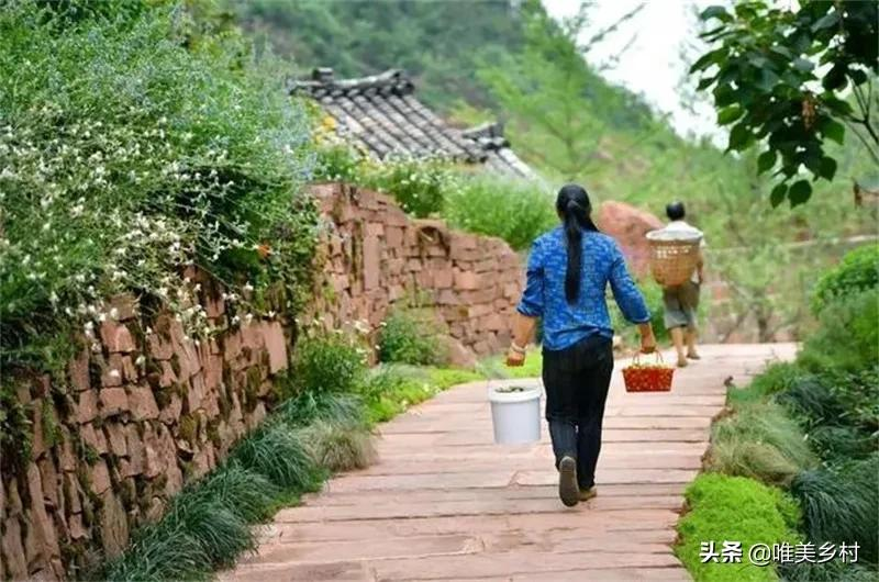 5亿农村人福祉将全面增进，未来能有啥变化？聚焦“三个建设”