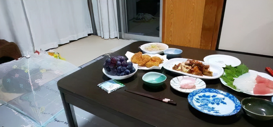 小猫的生日礼物（猫咪过生日送什么礼物）