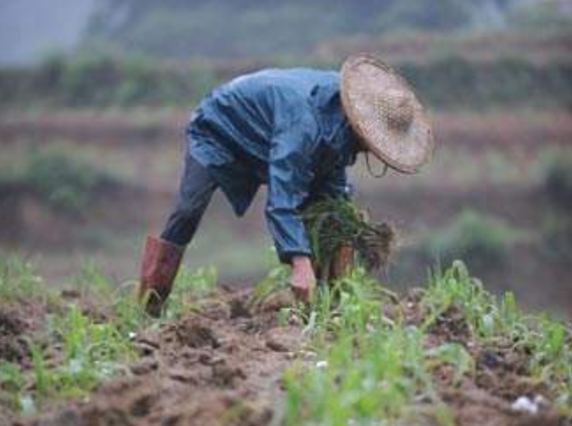 1976年，一名河南男子被冒名顶替上大学，37年后欲索赔115万