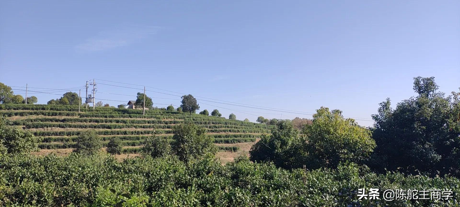 有生意做的老板们，如何通过自媒体给产品引流，日赚500块钱？