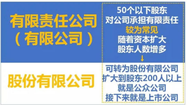 企业、公司、分公司、子公司一文全明白