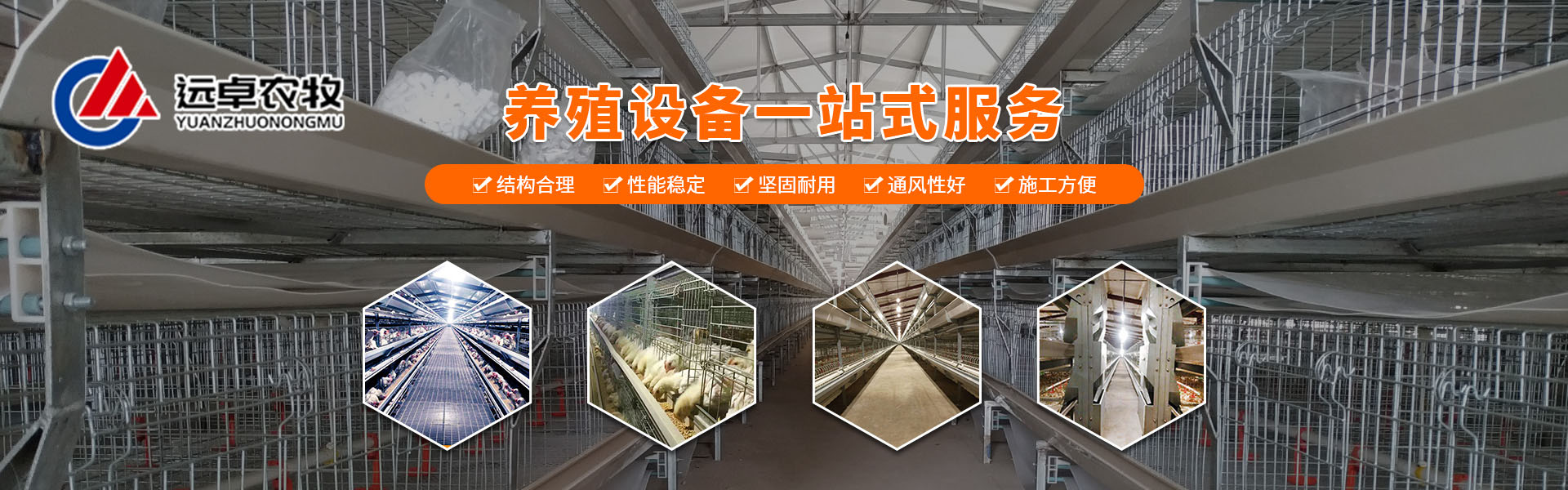 蛋雞籠養(yǎng)殖在高溫天氣中暑的癥狀有哪些？怎么治療？