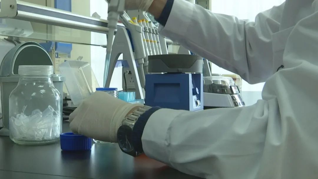 好品山东｜西瓜随便吃，种子得留下！这是啥操作？