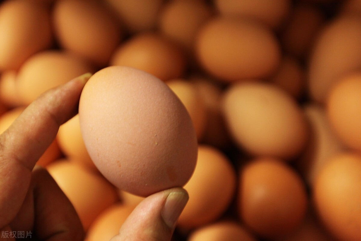 鸡蛋价格持续高涨，蛋价快赶上肉价了？“鸡蛋自由”能实现吗