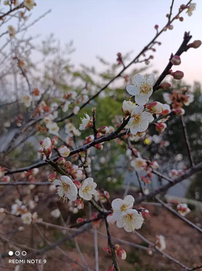 生日小记：感怀时光，感恩遇见