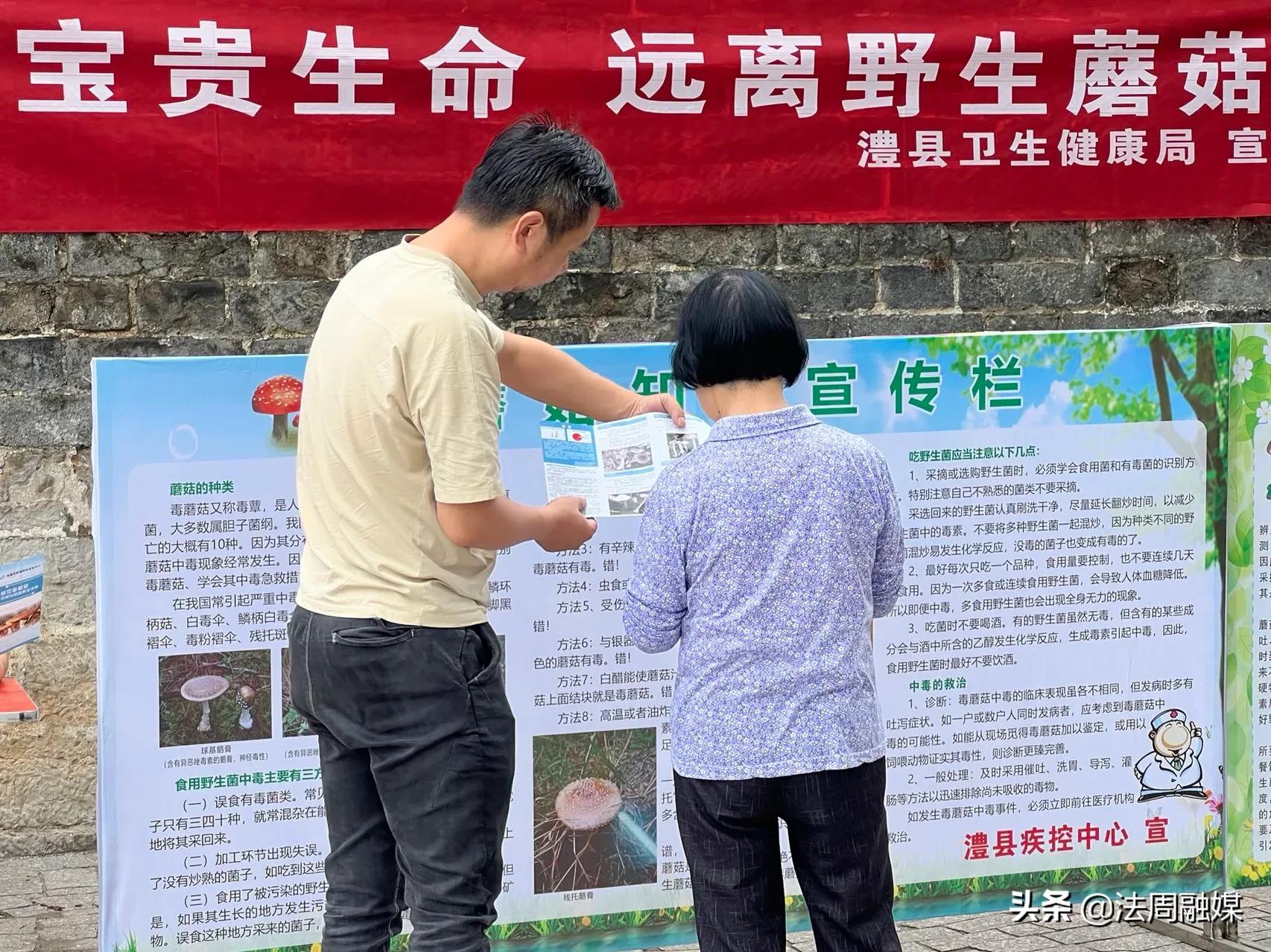 澧县开展预防野生蘑菇中毒集中宣传活动