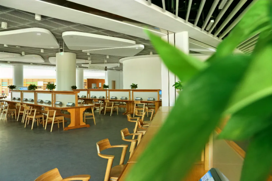 一年超105万人次打卡！山东“宝藏”图书馆：拥有百年藏书，还是影视剧取景地