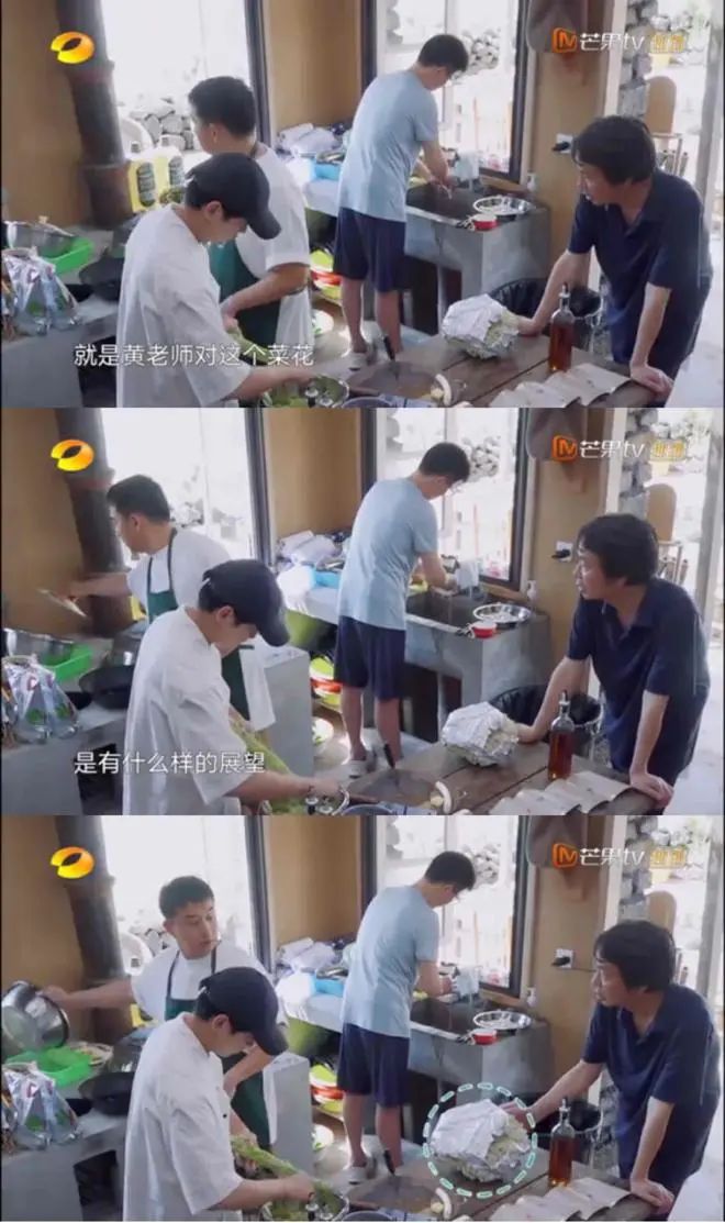 刘震云、许知远“盘活”《向往的生活》