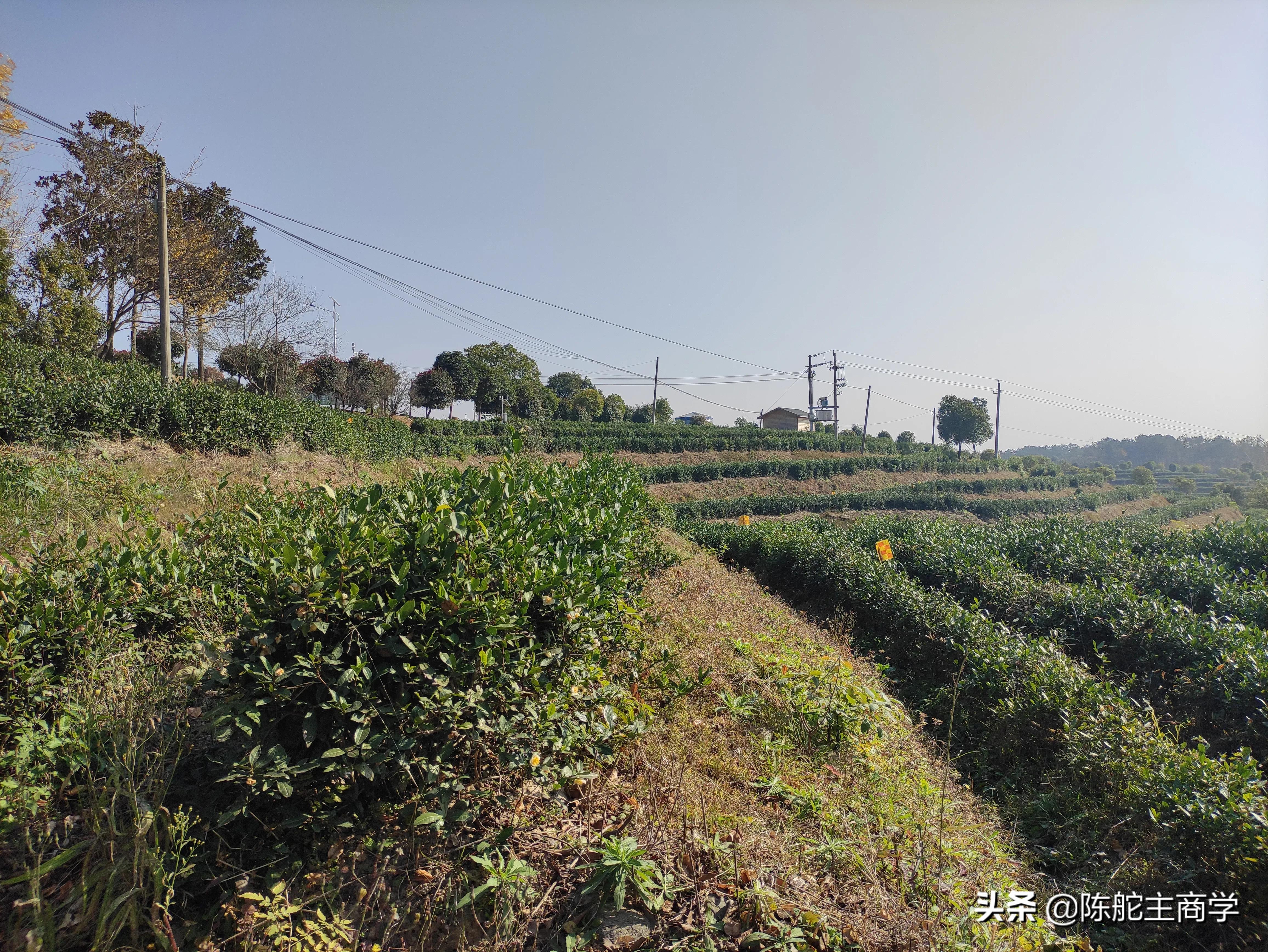 有生意做的老板们，如何通过自媒体给产品引流，日赚500块钱？