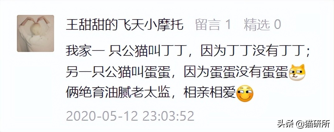 爆肝统计5000个猫名，让所有人都笑死在这些沙雕名字里