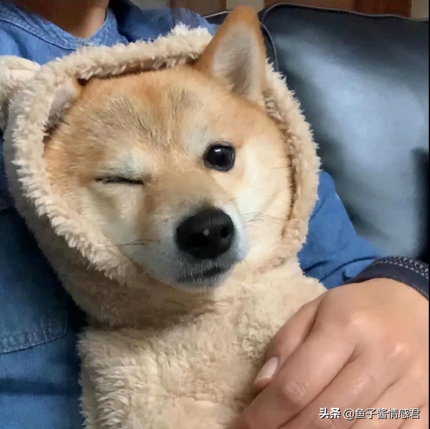 30句网易云热评文案：如果不回头的话，就慢点忘记我