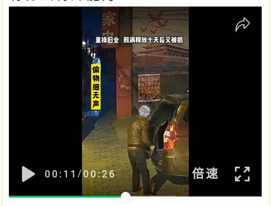 恶习不改 刑释十天又被抓