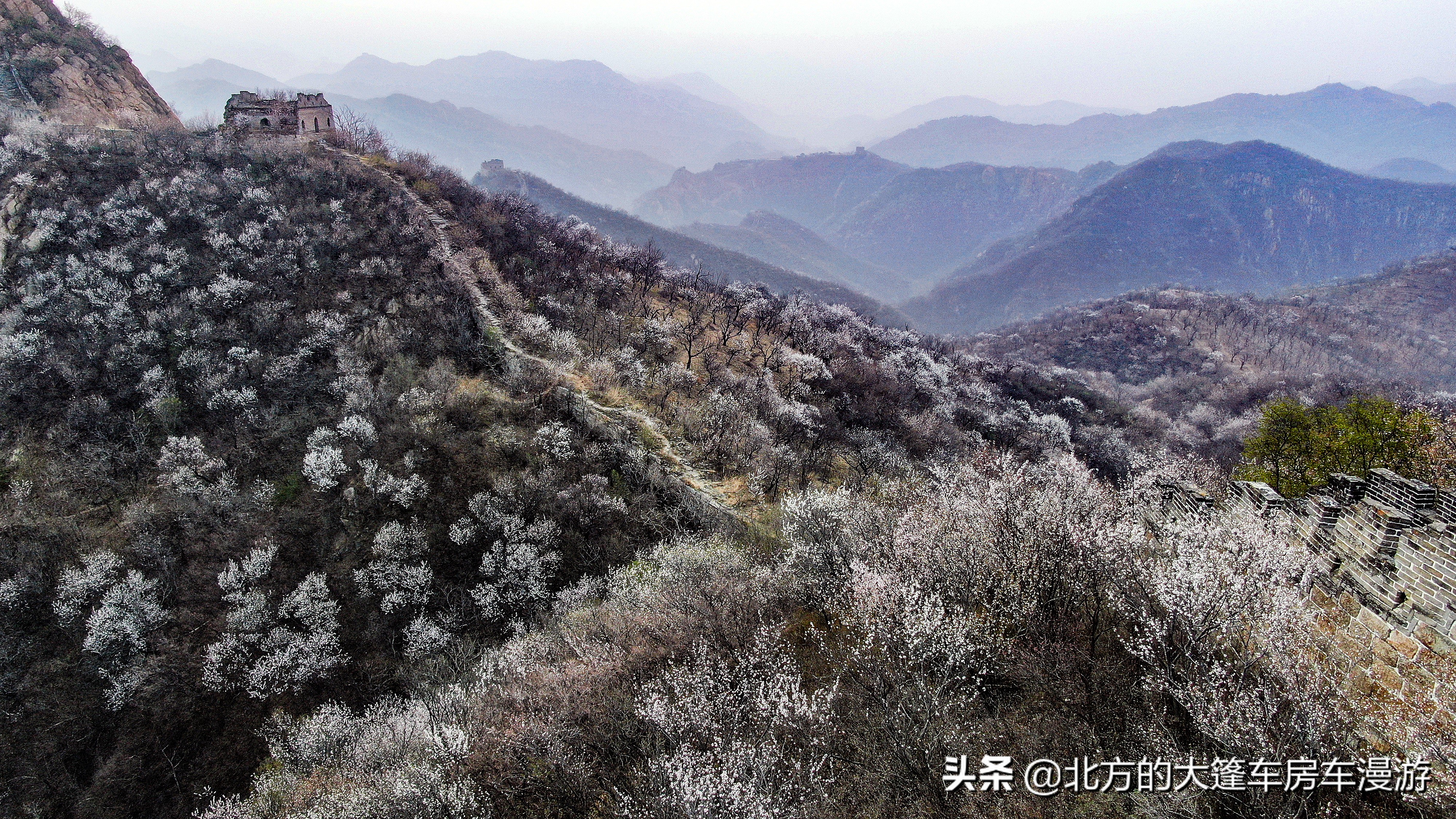 走过北京春天最美的盘山公路去那山桃花盛开的地方——龙泉峪长城