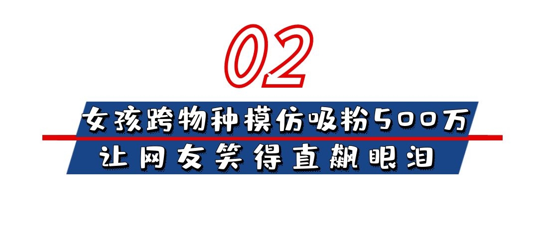 东方不败：搞怪女孩神模仿吸粉500万，网友：春晚没你我不看