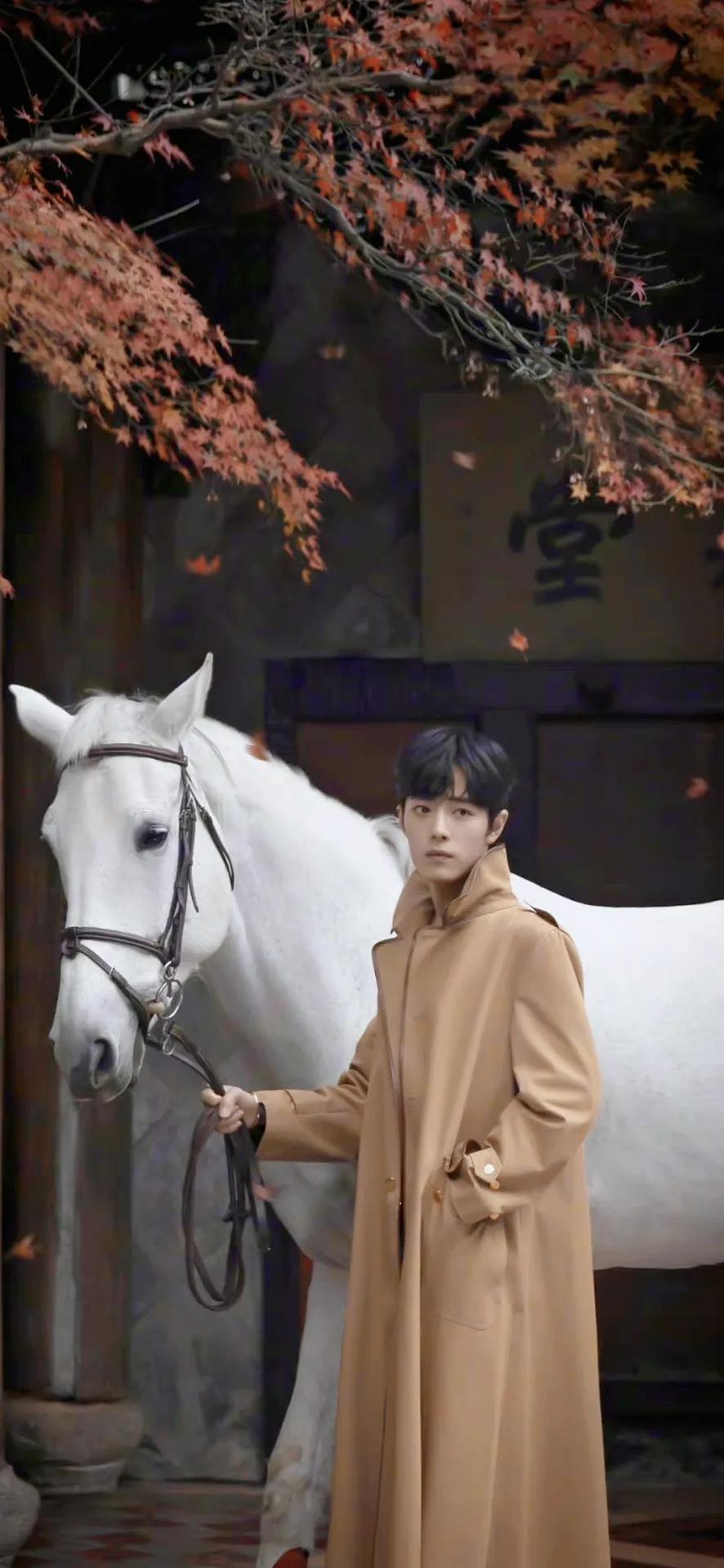 「肖战图集」帅气得超过1005分