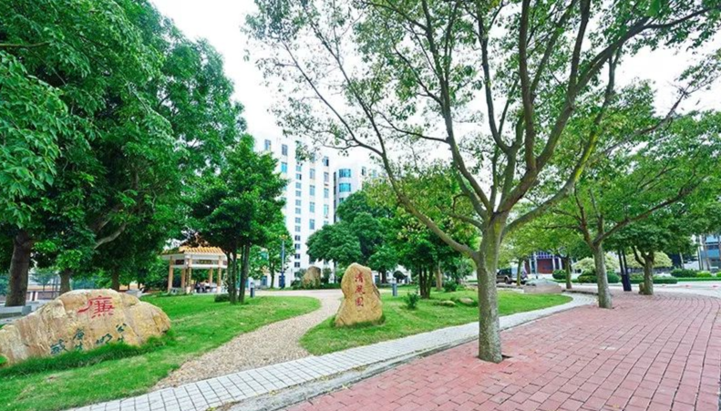 重磅消息！广东又有一所专科院校要升本了