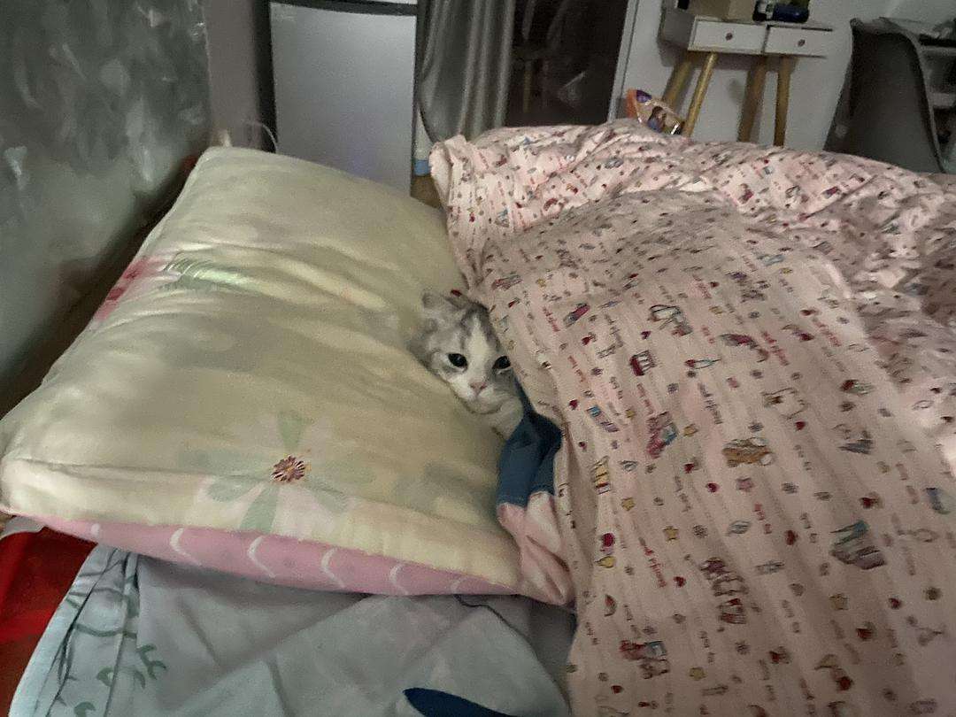 失眠越来越严重？试试穿袜子睡觉，或许你会睡得香甜，不是在瞎说