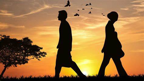 不要在短暂的一生中留下遗憾_晶羽科技