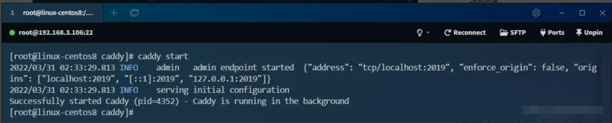 超越 Nginx！号称下一代 Web 服务器，用起来够优雅