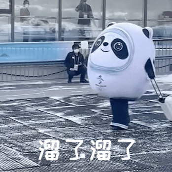 冰墩墩名场面可爱集