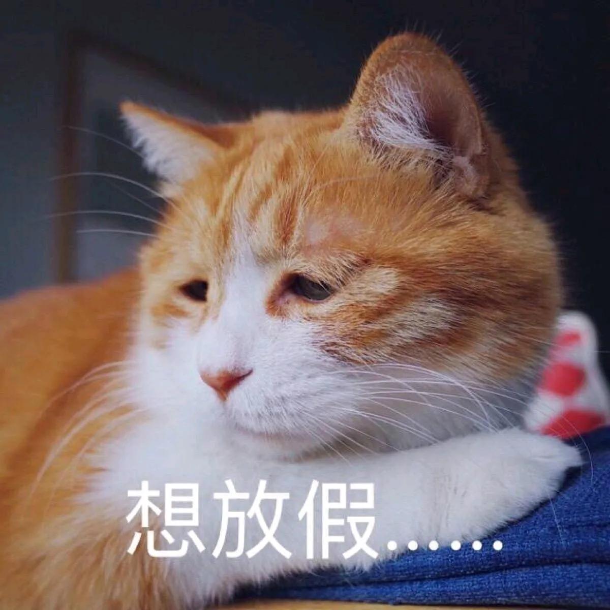 为什么有人说烟灰缸里永远不要倒水
