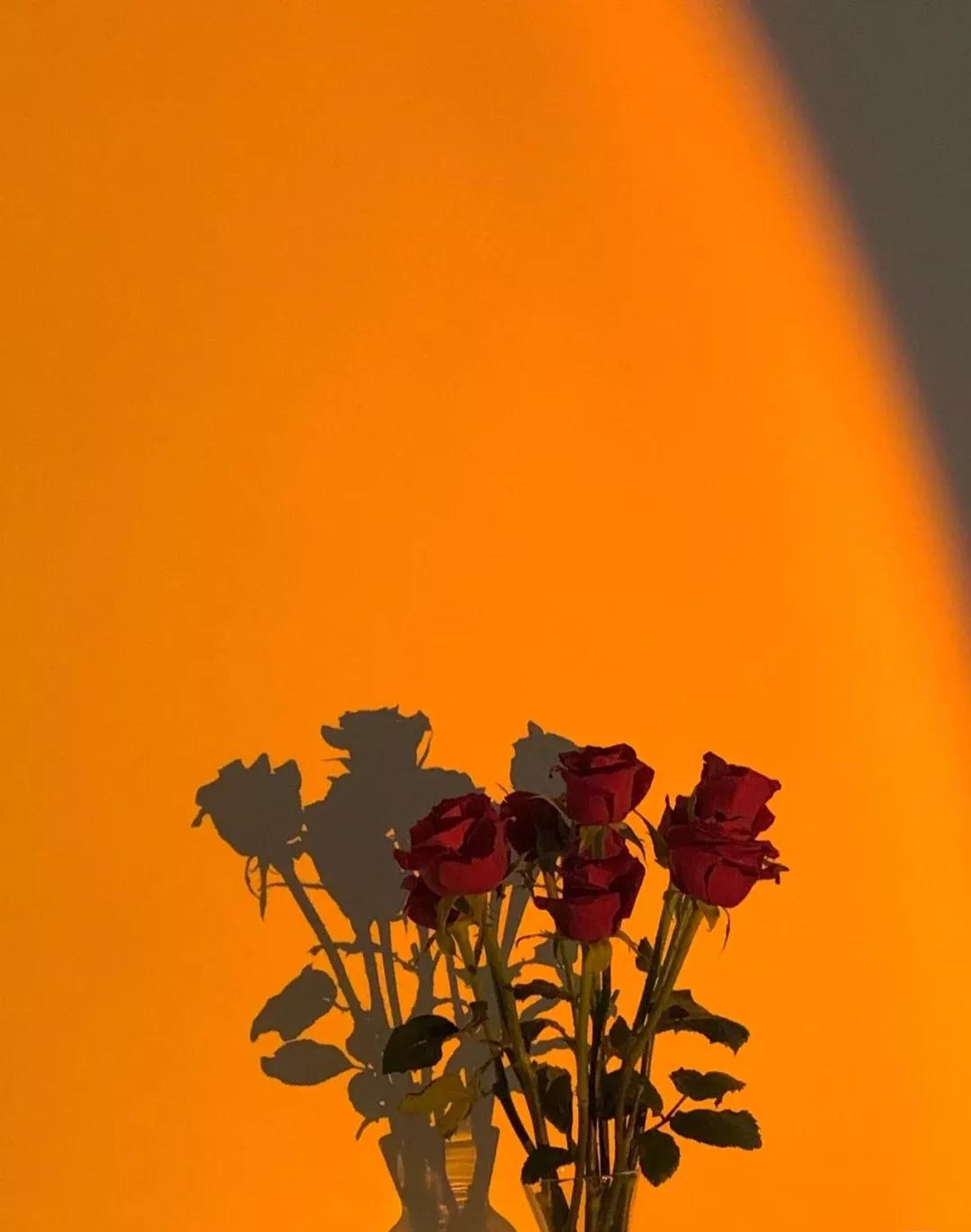 关于风大的唯美说说(风的唯美意境说说) _晶羽文学网