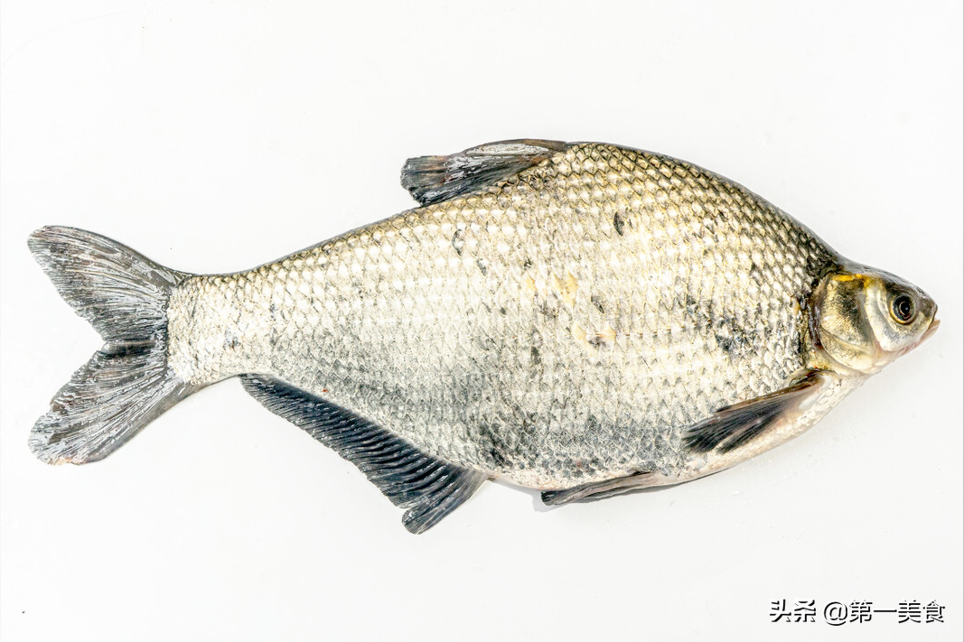 图片[4]-立春过后 最适合吃的5种淡水鱼 正是肥美好时候 爱吃鱼别放过-起舞食谱网