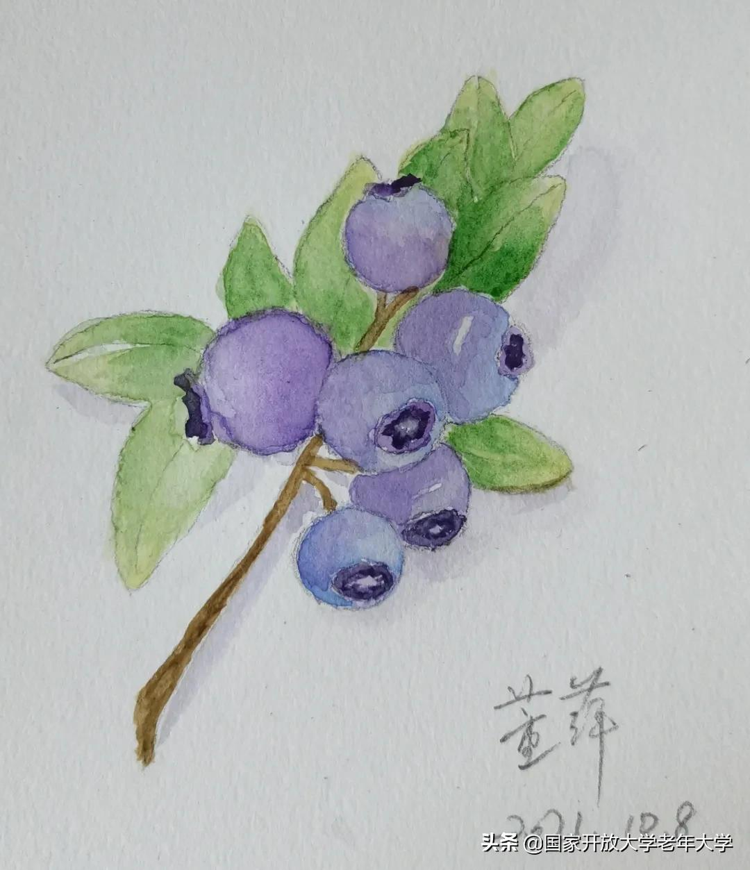 在校园·良作 | 水彩让我们的青春重新绽放——水彩画初级班学员作品