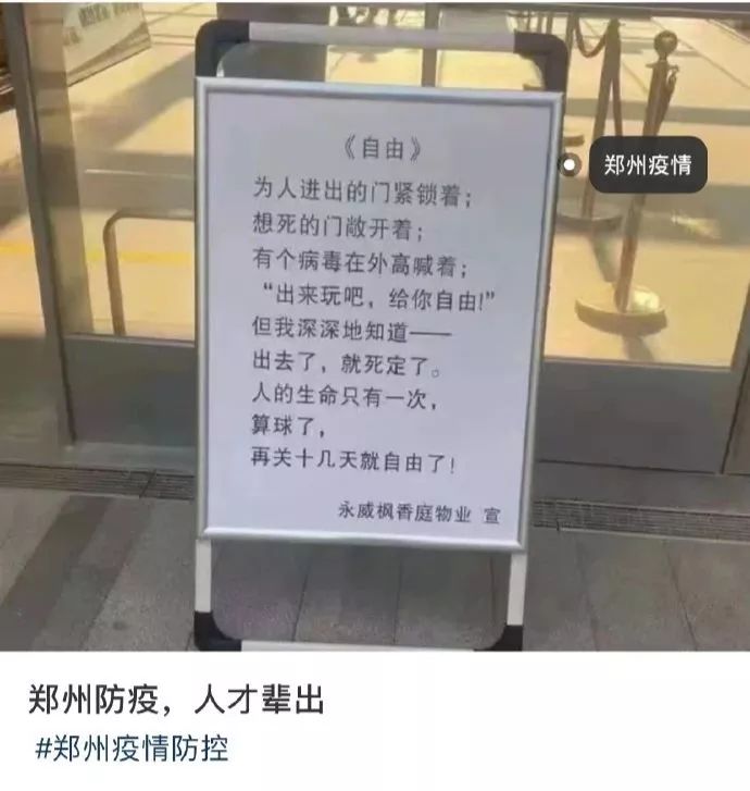 小猫的生日礼物（猫咪过生日送什么礼物）