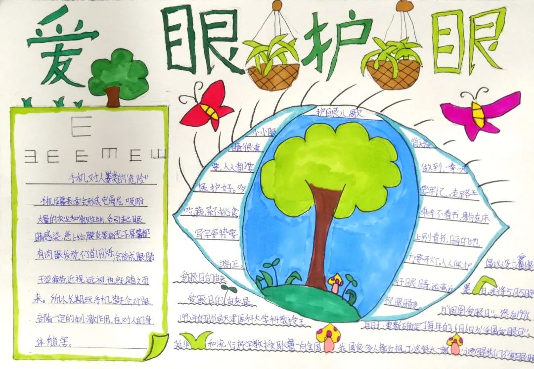 科学用眼，预防近视——记白沙小学“全国爱眼日”主题系列活动