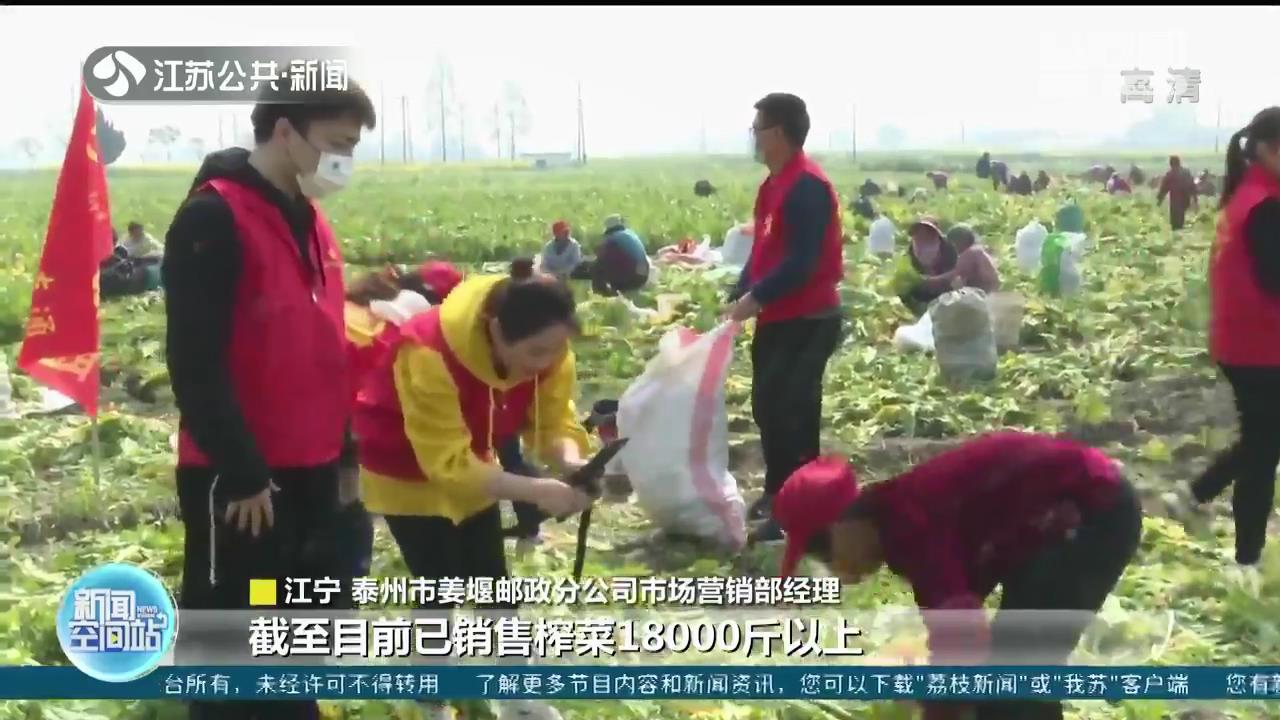 千方百计保障疫情防控期间农民利益 江苏各地积极帮忙滞销农户拓宽销售渠道