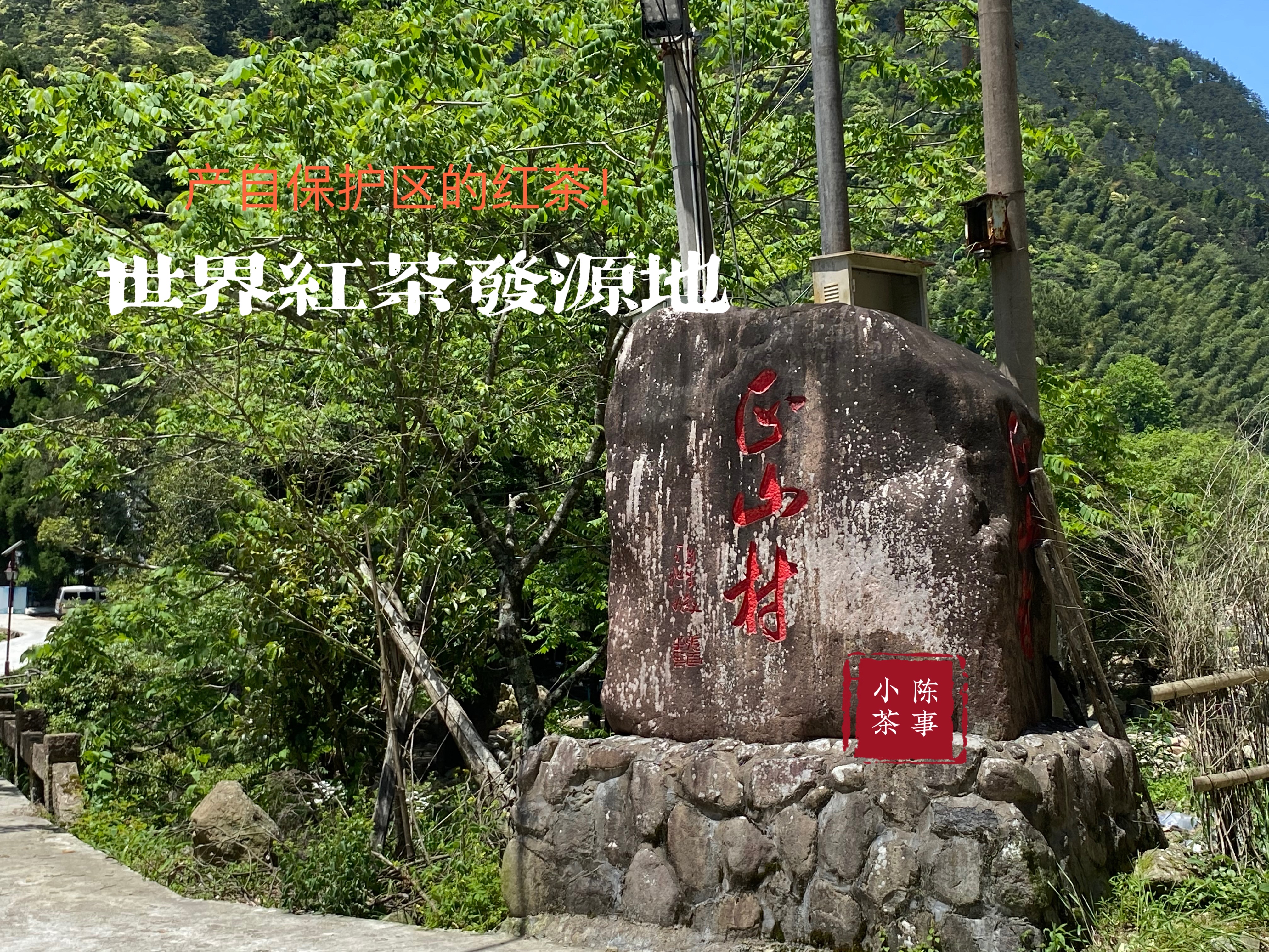 泡正山小种红茶，内行人都在遵循的6点原则，很详细，轻松泡好茶