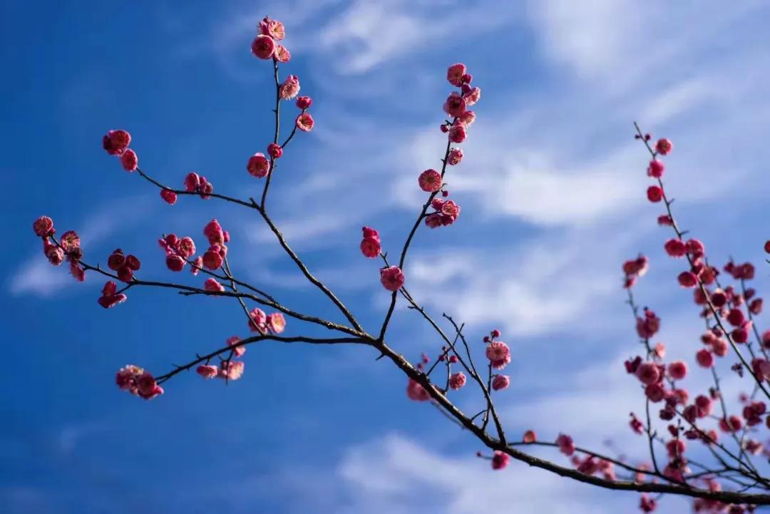 2022高考押题Ⅰ名校模考金题范文《仰望星空，也要脚下看路》导写