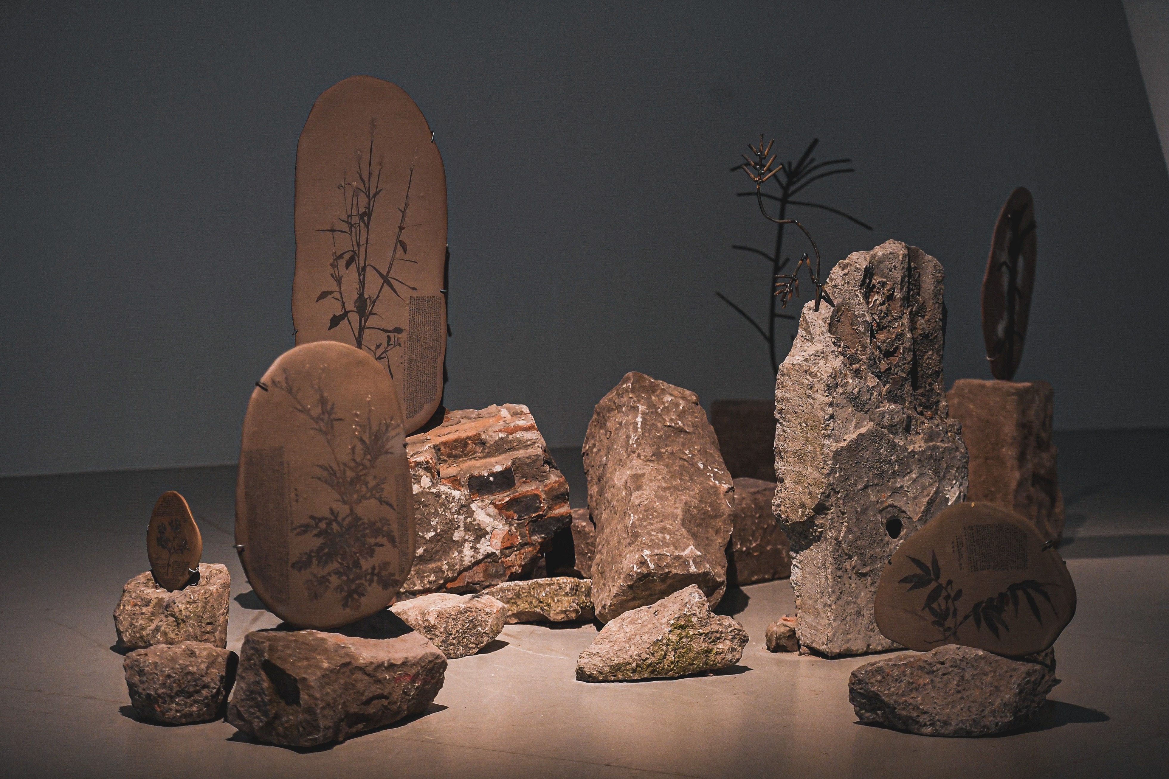 “休眠景观—童文敏、杨心广”展览正式在渝开幕