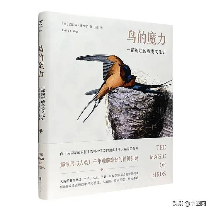 有心意的圣诞礼物（据说长得漂亮的都已经在收圣诞礼物了）
