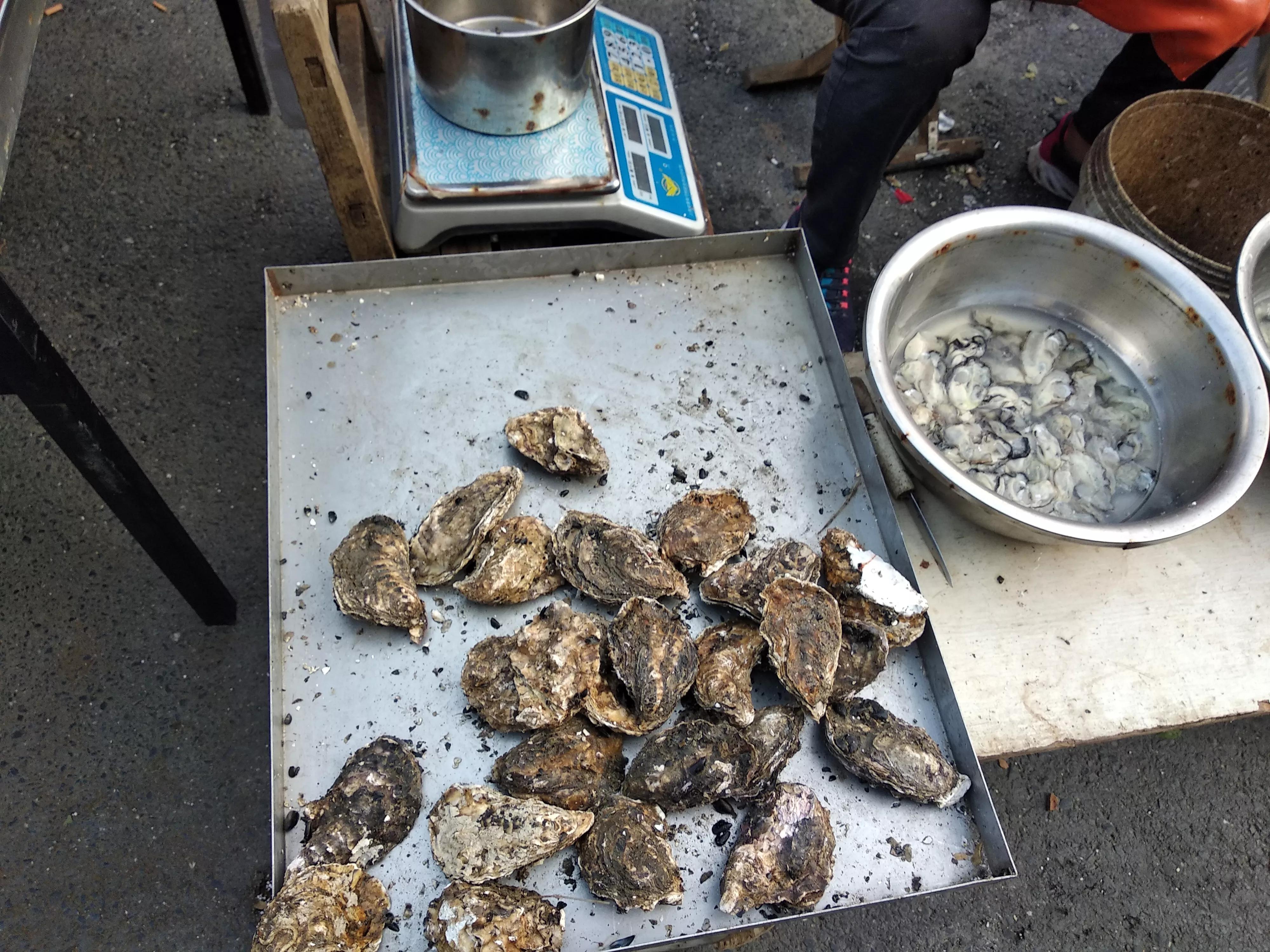 都是牡蠣，海蠣子和生蠔有何區別？弄懂再買不吃虧
