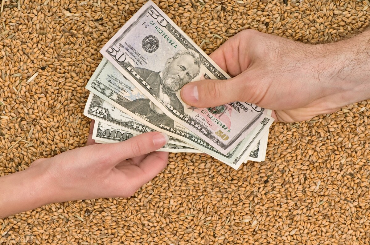 小麦价格厉害了，像“脱缰”的野马一样继续上涨，4月21日粮价