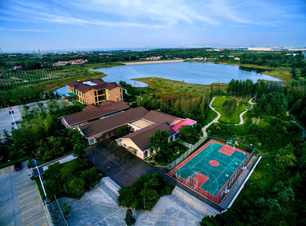 统考招生465人！青岛科技大学2022年艺术类专业报考需要多少分？