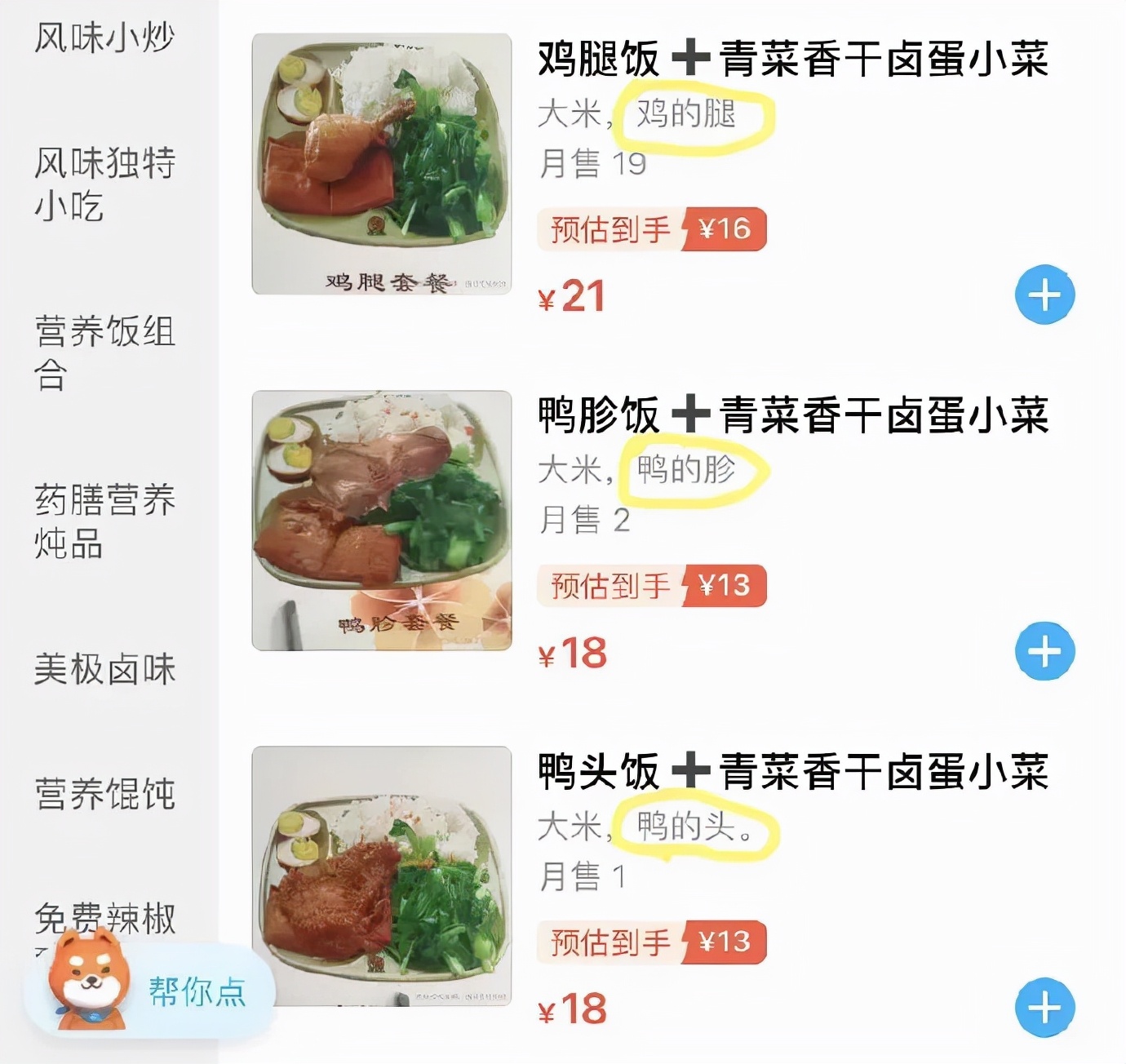 小猫的生日礼物（猫咪过生日送什么礼物）