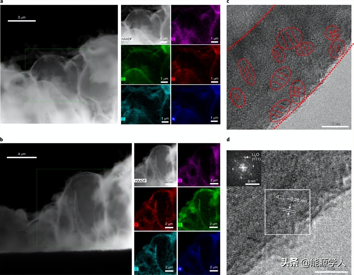 固态电池循环超2000圈！冷冻电镜揭示Li/聚合物电解质界面设计