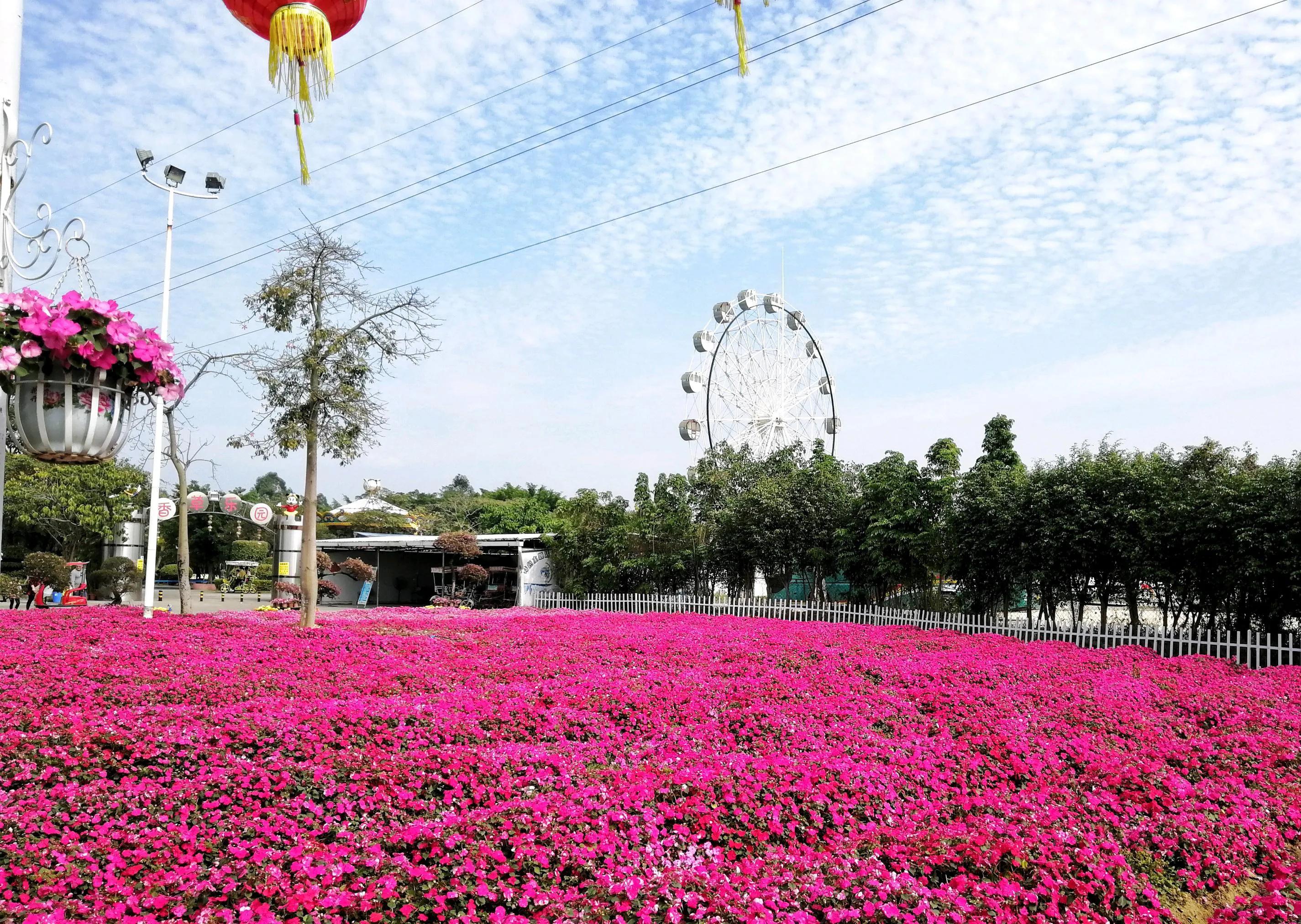 广州—“花都”！踏青最美的七个地方，你都去对了吗？