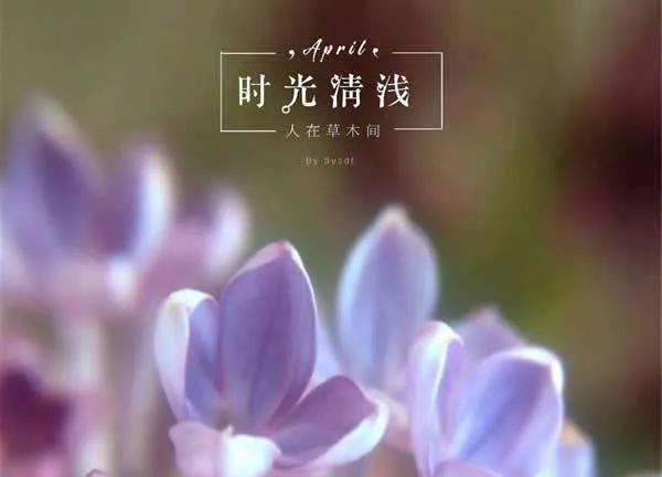 唯美的句子美好时光