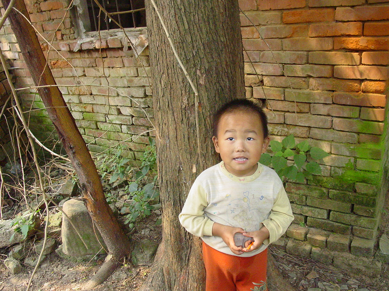 一个厚颜无耻的学生