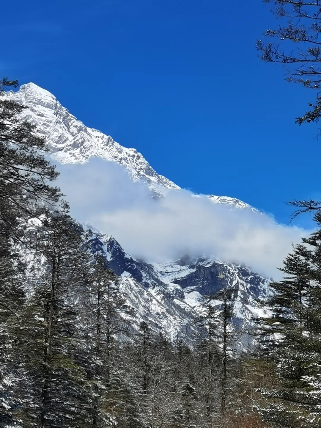 在云南丽江就能感受“北国风光”,2小时即达,春节假期开启赏雪玩冰模式吧
