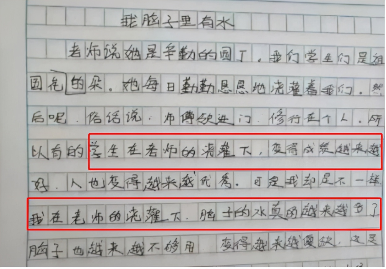 “老师的头发像蒲公英，风一吹就没了”，小学生爆笑作文引热议