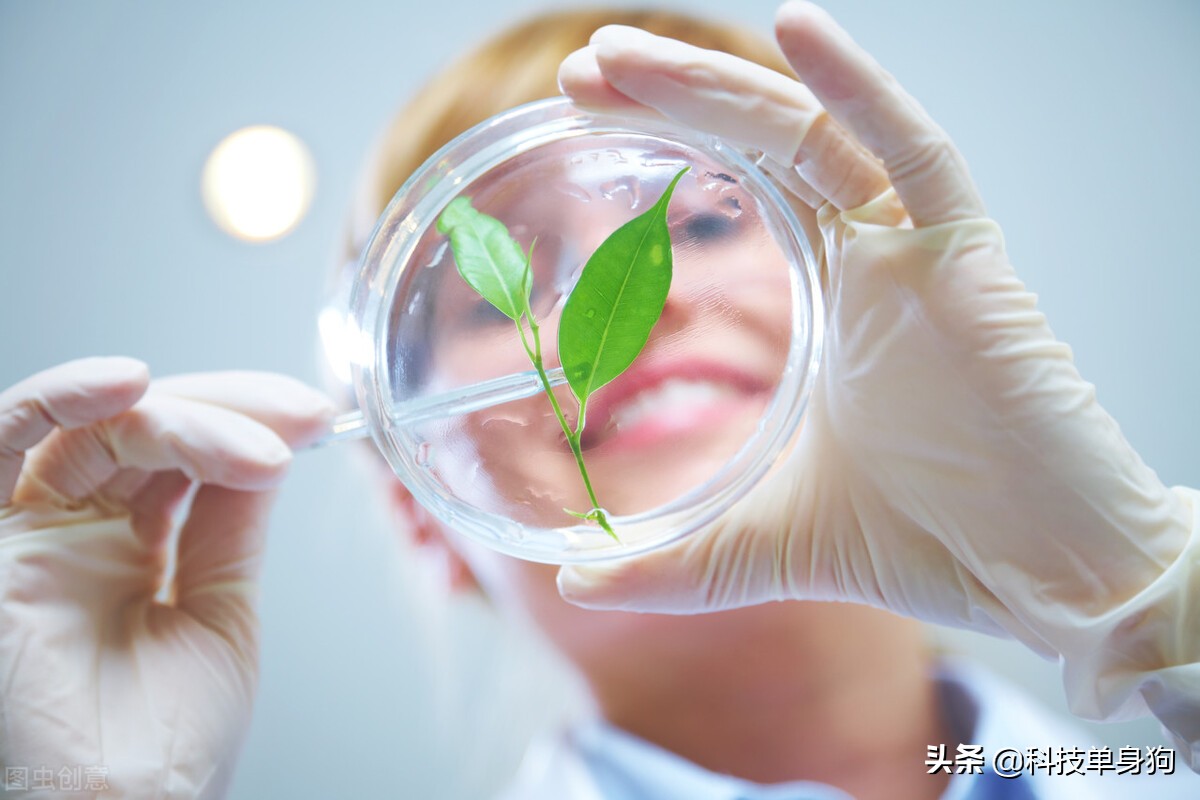 人类的科技树点歪了吗？