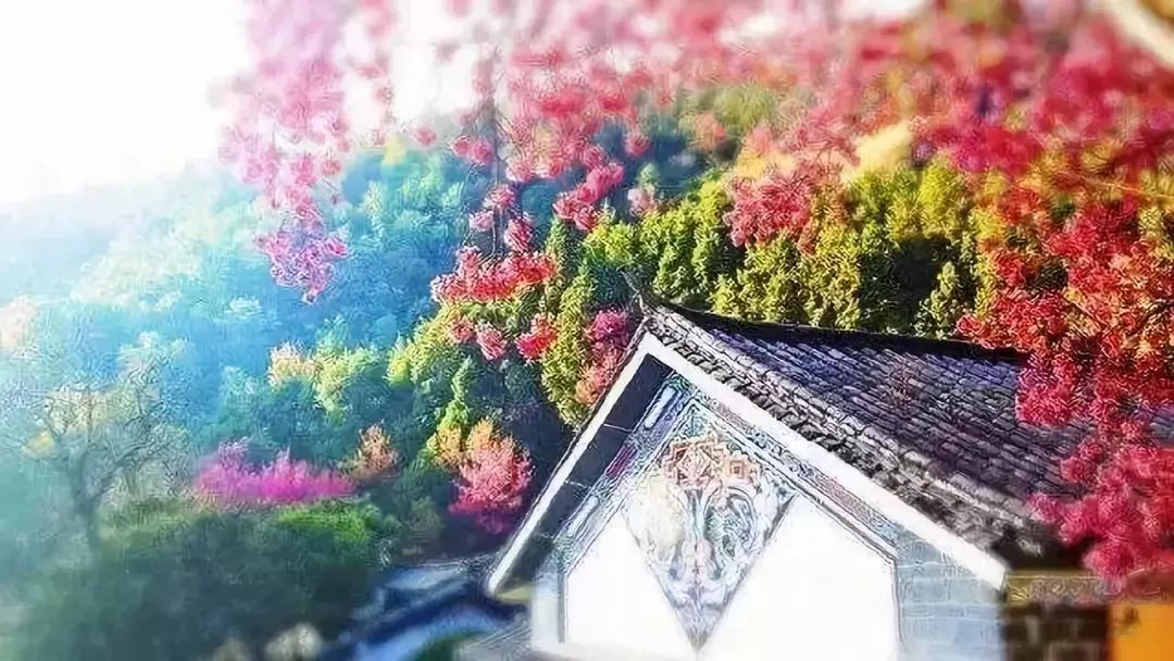 适合春天旅行的12个地方，人少景美，最美的春光，你去过几个呢？